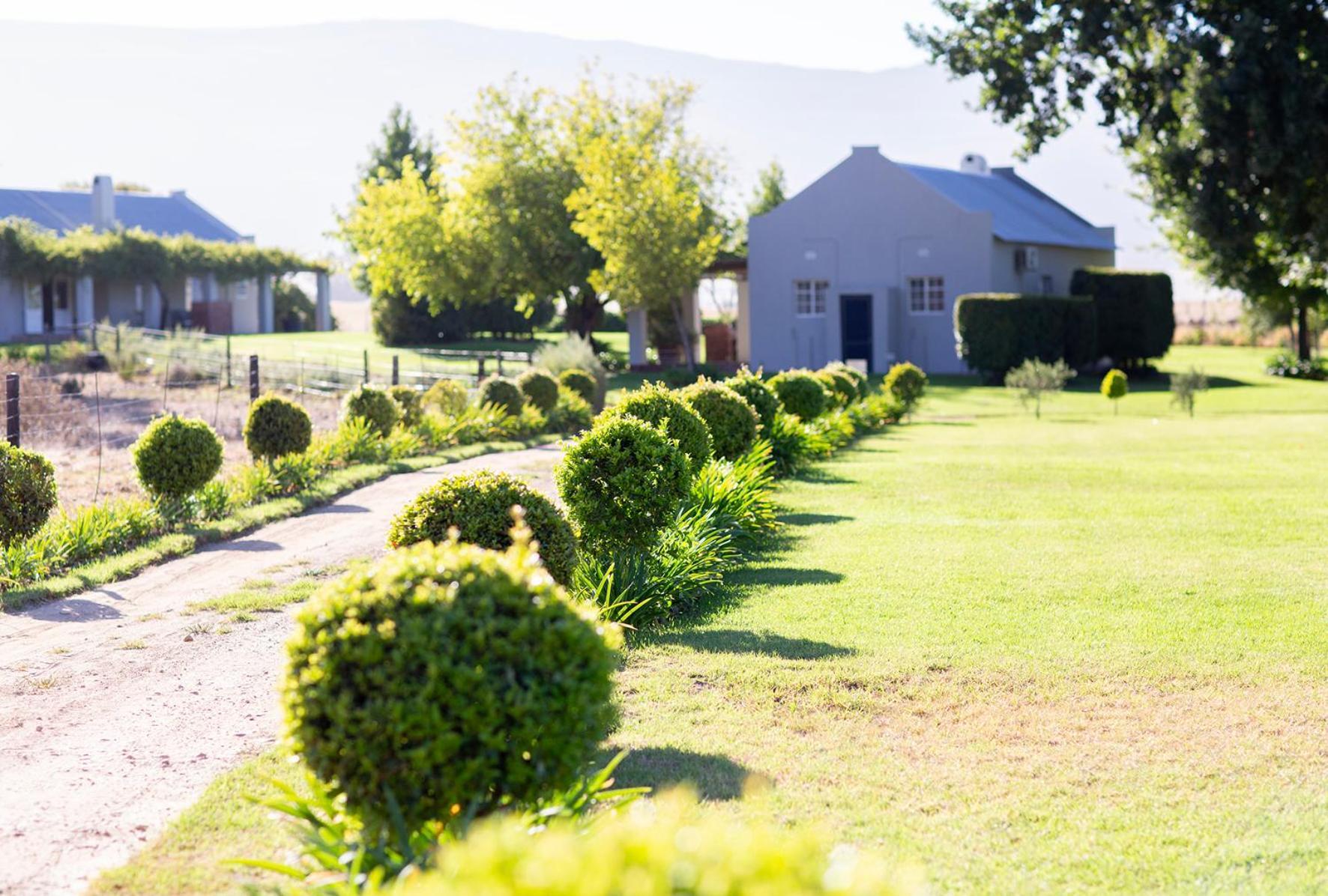 Saronsberg Vineyard Cottages Tulbagh Exterior foto