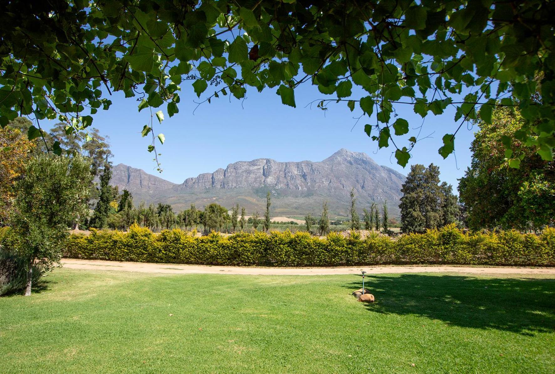 Saronsberg Vineyard Cottages Tulbagh Exterior foto
